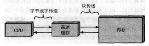 高速缓存和内存